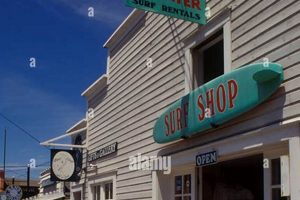 Find Your Wave: Stinson Beach Surf Shop Gear & More Learn to Surf & Skate: A Beginner's Step-by-Step Guide Find Your Wave: Stinson Beach Surf Shop Gear & More | Learn to Surf & Skate: A Beginner's Step-by-Step Guide