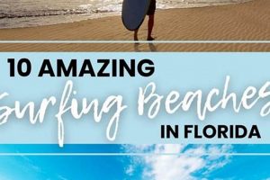 Your Guide to: Best Surfing Beaches in Florida - 2024! | Learn to Surf & Skate: A Beginner's Step-by-Step Guide