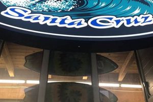Discover Surf City Santa Cruz: Your Ultimate Guide! | Learn to Surf & Skate: A Beginner's Step-by-Step Guide