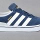 Best Adidas Skate Shoes Mens: Styles & Performance! | Learn to Surf & Skate: A Beginner's Step-by-Step Guide
