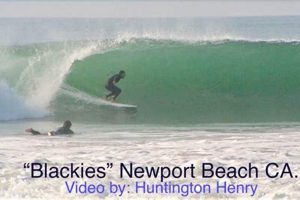 Surf Report Newport Beach Blackies | Learn to Surf & Skate: A Beginner's Step-by-Step Guide
