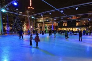 Find Free Skate Ice Skating Near Me + Tips | Learn to Surf & Skate: A Beginner's Step-by-Step Guide