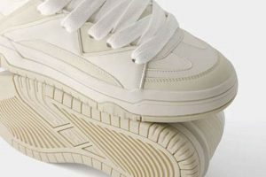 Bershka Skate Shoes: Style & Performance Guide for Skaters Learn to Surf & Skate: A Beginner's Step-by-Step Guide Bershka Skate Shoes: Style & Performance Guide for Skaters | Learn to Surf & Skate: A Beginner's Step-by-Step Guide