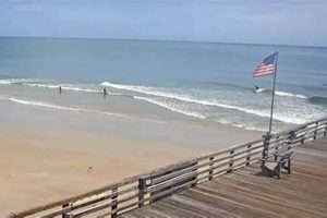 Frankfort Surf Cam Views: Lake Michigan Waves Live | Learn to Surf & Skate: A Beginner's Step-by-Step Guide