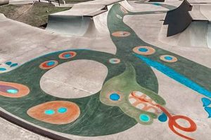 Best San Antonio Texas Skate Parks Near You | Learn to Surf & Skate: A Beginner's Step-by-Step Guide