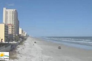 Live Daytona Beach Surf Cam: See Beach Conditions Now! | Learn to Surf & Skate: A Beginner's Step-by-Step Guide