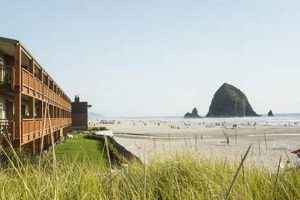 Discover: Sand Surf at Cannon Beach Paradise | Learn to Surf & Skate: A Beginner's Step-by-Step Guide