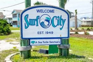 Ultimate Surf City: Things To Do + More Fun! | Learn to Surf & Skate: A Beginner's Step-by-Step Guide