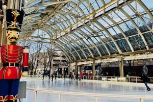 Glide in Reston: Ice Skate Fun &amp; More | Learn to Surf & Skate: A Beginner's Step-by-Step Guide