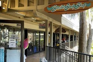 Your Guide to Sanibel Surf Shop Fun & Gear | Learn to Surf & Skate: A Beginner's Step-by-Step Guide