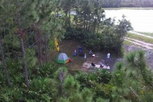 St. Lucie Surf Cam: See Live Beach Conditions Now | Learn to Surf & Skate: A Beginner's Step-by-Step Guide