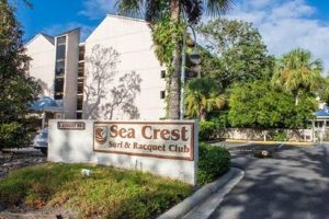 Your Sea Crest Surf and Racquet Club Oasis Awaits! | Learn to Surf & Skate: A Beginner's Step-by-Step Guide