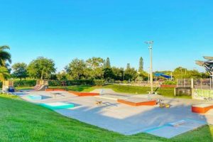 Your Guide to Payne Skate Park Sarasota Fun! | Learn to Surf & Skate: A Beginner's Step-by-Step Guide