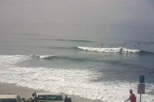 Live Pacific Beach Surf Cam: See PB Surf Now! | Learn to Surf & Skate: A Beginner's Step-by-Step Guide