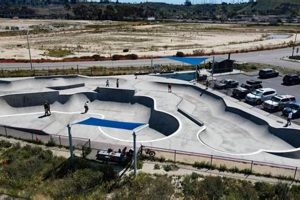 Best San Diego Skate Parks: Your Ultimate Guide | Learn to Surf & Skate: A Beginner's Step-by-Step Guide