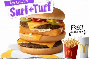 McDonald's Surf & Turf: Secret Menu Hack + Review! | Learn to Surf & Skate: A Beginner's Step-by-Step Guide