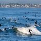 Your Newport Beach Surf Report: Waves & Tides Now | Learn to Surf & Skate: A Beginner's Step-by-Step Guide