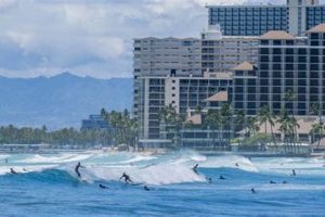 Waikiki Surf Report: Your Daily Wave Check | Learn to Surf & Skate: A Beginner's Step-by-Step Guide