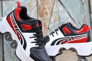 Discover Skate Shoes: Shoes with Skates in Them Now! | Learn to Surf & Skate: A Beginner's Step-by-Step Guide