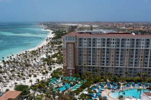 Find Aruba Surf Club Rentals: Your Island Getaway! | Learn to Surf & Skate: A Beginner's Step-by-Step Guide