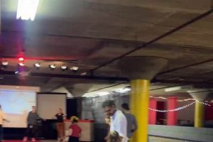 The Skate Luvers Roller Palace Guide: Fun &amp; More! | Learn to Surf & Skate: A Beginner's Step-by-Step Guide