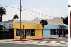 Jeff Ho Surf Shop: The Dogtown Surfboard Legacy | Learn to Surf & Skate: A Beginner's Step-by-Step Guide