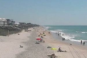 Surfchex Surf City NC: Your Beach Home Experts | Learn to Surf & Skate: A Beginner's Step-by-Step Guide