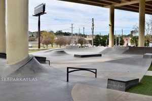 Pensacola FL Skate Parks: Your Guide + More! | Learn to Surf & Skate: A Beginner's Step-by-Step Guide