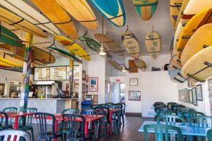 Taco Surf Pacific Beach | Learn to Surf & Skate: A Beginner's Step-by-Step Guide