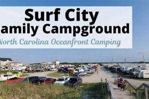 Plan Your Surf City, NC Campground Getaway Today! | Learn to Surf & Skate: A Beginner's Step-by-Step Guide