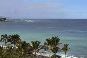 Live Surf Cam Hawaii Waikiki: View Conditions Now! | Learn to Surf & Skate: A Beginner's Step-by-Step Guide