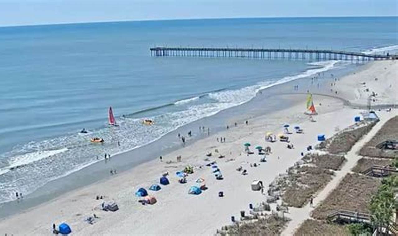 Your North Myrtle Beach Surf Report: Beach Conditions + More! | Learn to Surf & Skate: A Beginner's Step-by-Step Guide