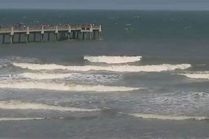 Your Daytona Surf Report: Waves &amp; Tides Today! | Learn to Surf & Skate: A Beginner's Step-by-Step Guide