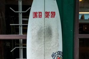 Your Guide to Long Beach Surf Shop Scene: Find Gear & More! | Learn to Surf & Skate: A Beginner's Step-by-Step Guide