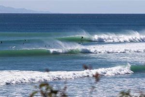 Your Ultimate County Line Surf Report Today! | Learn to Surf & Skate: A Beginner's Step-by-Step Guide