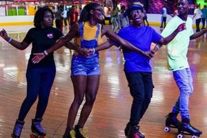 Buy Roller Skates of America: Brands &amp; More! | Learn to Surf & Skate: A Beginner's Step-by-Step Guide