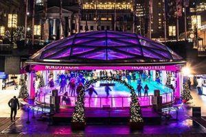 Best Vancouver Ice Skate Spots: Glide in the City! | Learn to Surf & Skate: A Beginner's Step-by-Step Guide