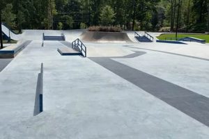 Skate Parks In Atlanta Georgia | Learn to Surf & Skate: A Beginner's Step-by-Step Guide