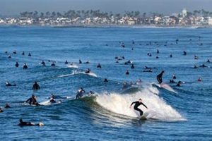 Newport Beach Surf Report CA: Latest Conditions + Forecast | Learn to Surf & Skate: A Beginner's Step-by-Step Guide