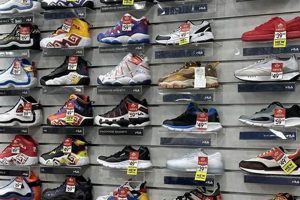 Find Skate Shoe Stores Near Me: Local Shops & More! | Learn to Surf & Skate: A Beginner's Step-by-Step Guide