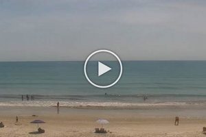 Satellite Beach Surf Cam: Watch Live + Beach Report | Learn to Surf & Skate: A Beginner's Step-by-Step Guide