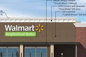 Walmart Surf City | Learn to Surf & Skate: A Beginner's Step-by-Step Guide