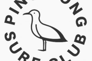 Paddle & Wave: Ping Pong Surf Club Fun & Fitness! | Learn to Surf & Skate: A Beginner's Step-by-Step Guide