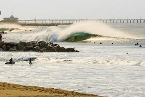 Your Newport Beach Surf Conditions Today: [Tips & Safety] | Learn to Surf & Skate: A Beginner's Step-by-Step Guide