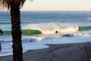 Your Guide: Surfing Laguna Beach California Waves Now! Learn to Surf & Skate: A Beginner's Step-by-Step Guide Your Guide: Surfing Laguna Beach California Waves Now! | Learn to Surf & Skate: A Beginner's Step-by-Step Guide