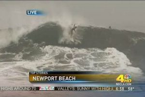 Your Newport Surf Report: Today's Conditions & Forecasts | Learn to Surf & Skate: A Beginner's Step-by-Step Guide