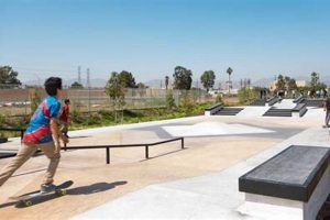 Sheldon Skate Park: Shred With Community Vibes! | Learn to Surf & Skate: A Beginner's Step-by-Step Guide