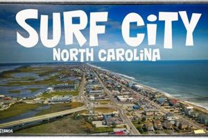 Surf City Vet NC: Premier Pet Care in NC! | Learn to Surf & Skate: A Beginner's Step-by-Step Guide