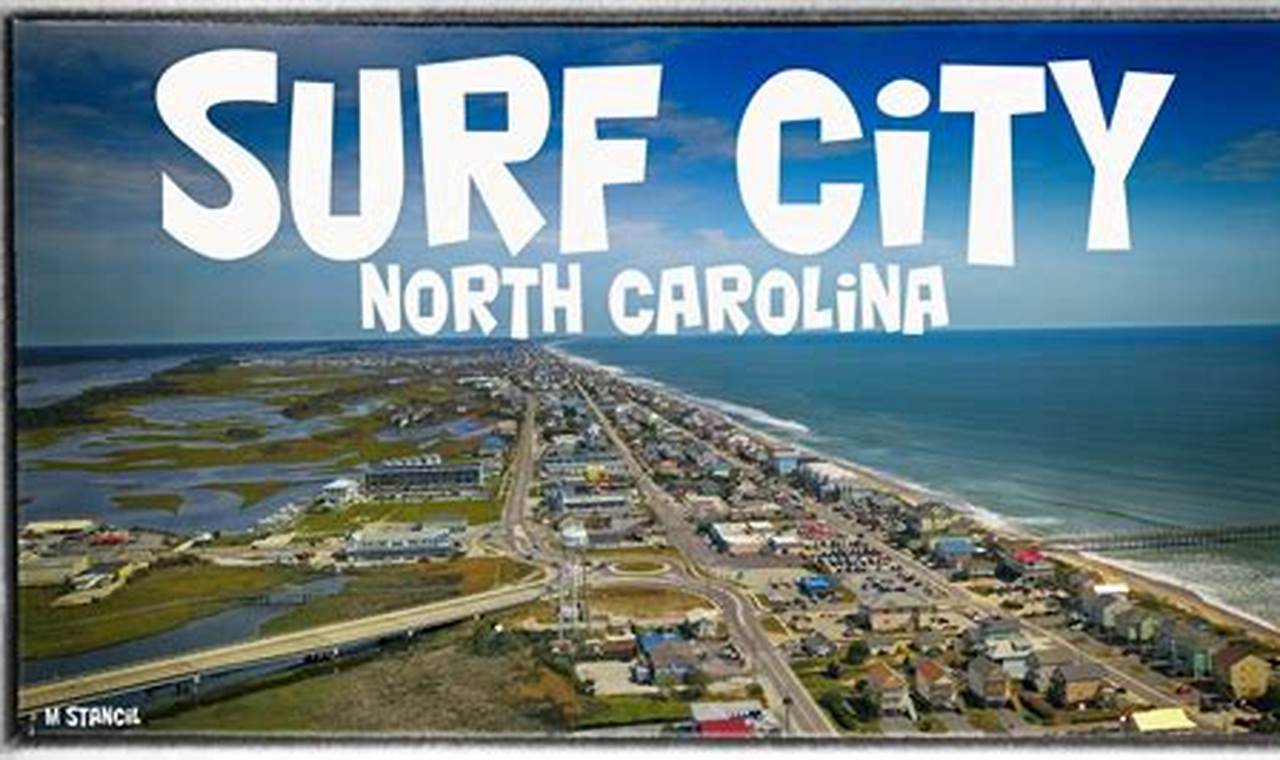 Surf City Vet NC: Premier Pet Care in NC! | Learn to Surf & Skate: A Beginner's Step-by-Step Guide