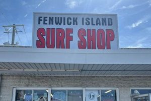 Your Guide to Fenwick Island Surf Shop Scene! | Learn to Surf & Skate: A Beginner's Step-by-Step Guide